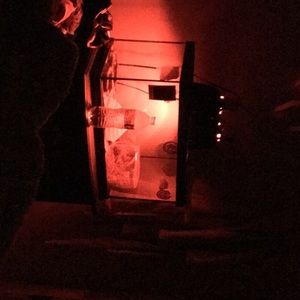 Meet your Posher, Layla